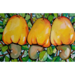 sep_Cajus 1 – 80x120cm