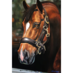 sep_O Cavalo – 60x80cm