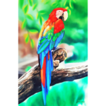 sep_Arara – 60x80cm,1